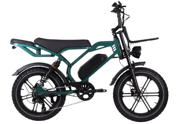 Altec Arion E-Bike Fatbike 20 inch HYD Green Accu 800089 RRR