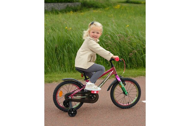 Volare Chrome Kinderfiets 20 inch Meisjesfiets Roze 6 Versnellingen